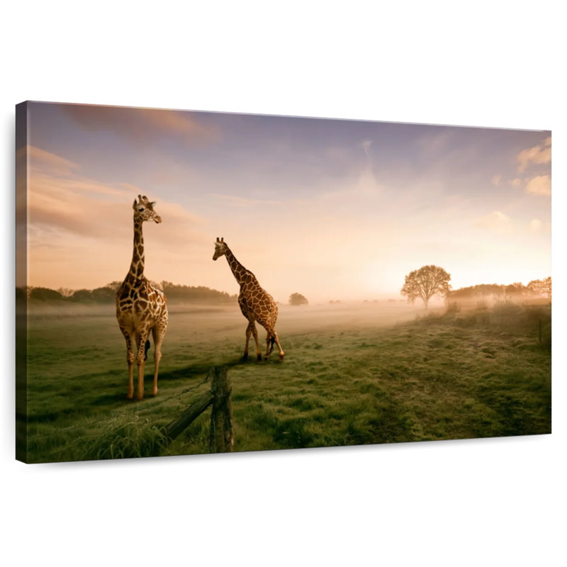 Brampt Giraffes In Savanna, 32" H x 48" W