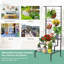 Support pour plante Baudouin