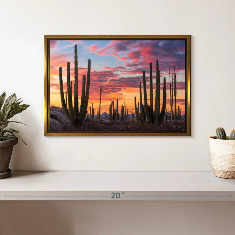 Lever de soleil de Baja California, Cadre flottant doré, 13 po x 9 po