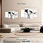 Black And White Bird-108745563
