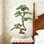 Bonsaï artificiel de 39 po avec feuilles luxuriantes et faux feuillage persistant dans un pot décoratif