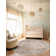 Cantey Oriental Indoor Rug