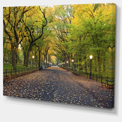Cityscape Central Park Mall Area Canvas Photograph  Mall Area