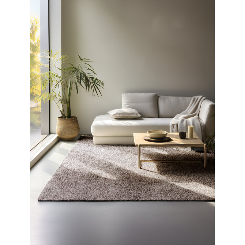 Solid Colour Machine Woven Brown Area Rug, Rectangle 160cm x 235cm
