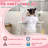 Sharema Dressing Table with Mirror