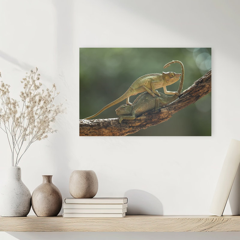 Chameleon Couple On Branch Lizard Tropical Wall Art Print 1 Piece Wrapped Canvas Wall Art, 30.48cm H x 45.72cm W