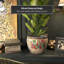Cache-pot Shewmaker-1825344164-1825344163