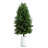 3ft. UV Resistant Artificial Cedar Tree in Decorative White Planter (Indoor/Outdoor)