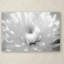 « Infrared Flower 2 », épreuve photographique sur toile tendue-31105999