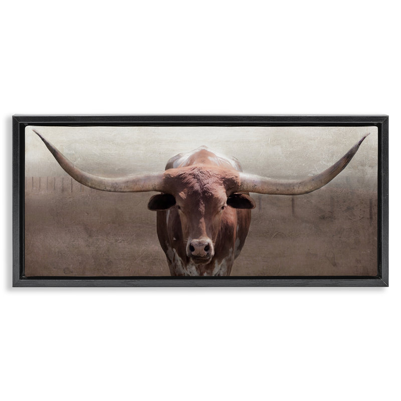 Cadre flottant rustique Western Longhorn, design par Carol Robinson, H 11 po x l 25 po, Cadre flottant noir de jais