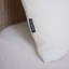 Fielder Outdoor Teak Lounge Chair