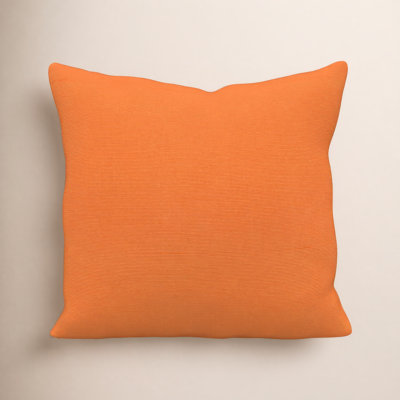 Gabi Sunbrella® Indoor/Outdoor Throw Pillow