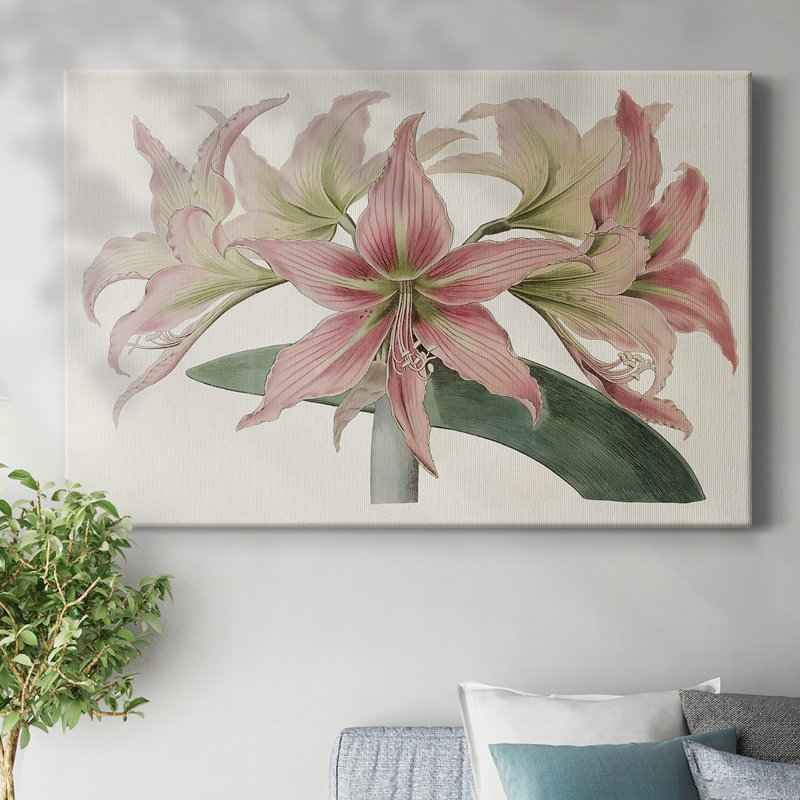 Toile tendue Amaryllis Varietals I-Gallery, H 18 po x l 27 po