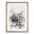 Oak Framed selected