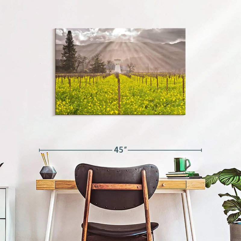 Vignes de Napa Valley, H 24 po x l 36 po