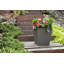 Jardinière carrée en osier 15 po, café foncé