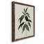 «Soft Greenery II», peinture sur toile encadrée-969736320-969736326