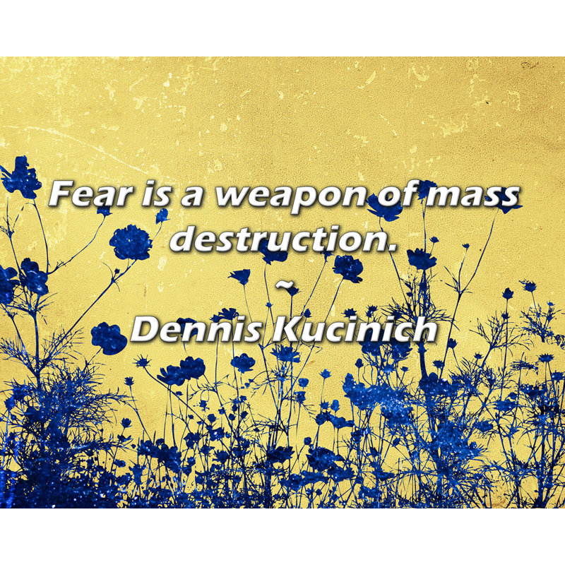 Dennis Kucinich Quote: Fear is a weapon of mass destruction.