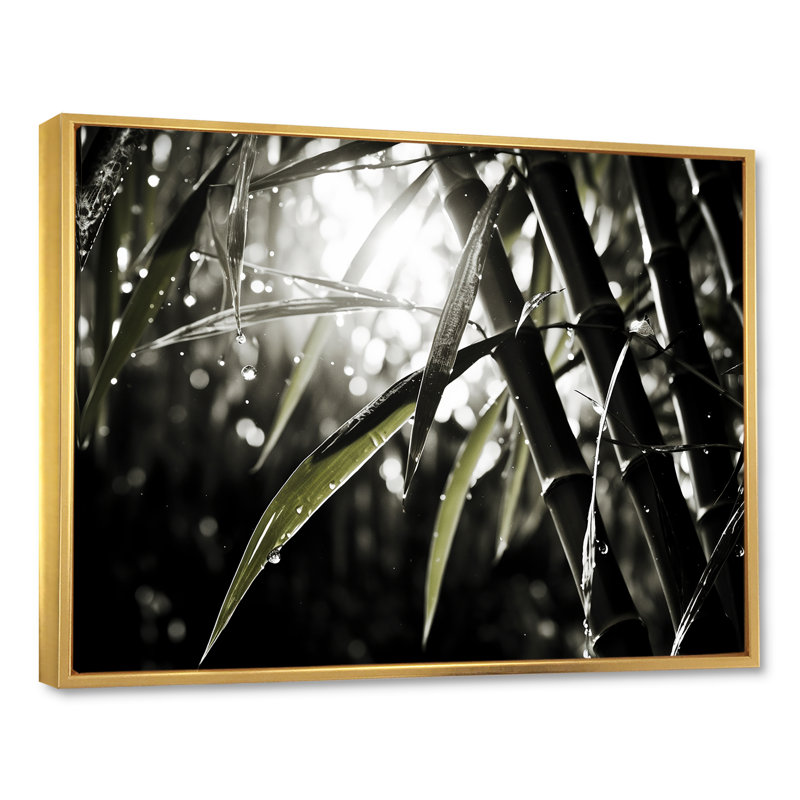 Décoration murale photo en bambou noir et blanc_106575, H 30 po x l 40 po x P 1,5 po, Cadre flottant doré