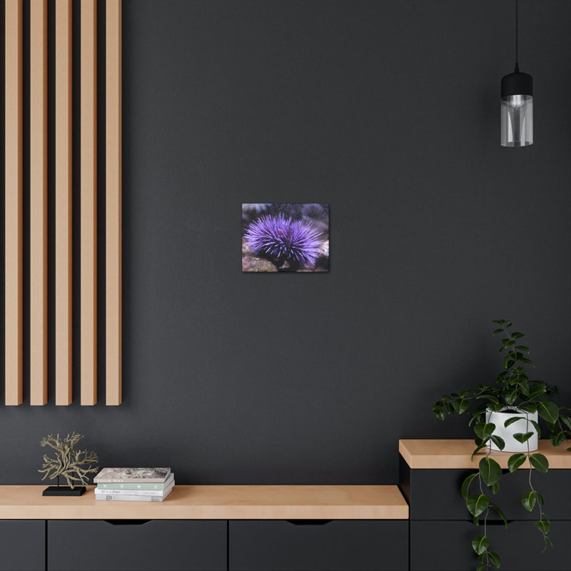 No Frame Print on Canvas