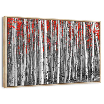 Red Birch Forest