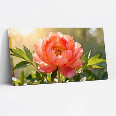 «Peony Flower Nature», ensemble de 1 reproduction d'art sur toile tendue sur toile
