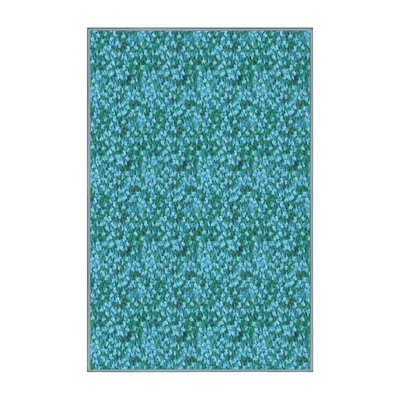 Indoor Rug