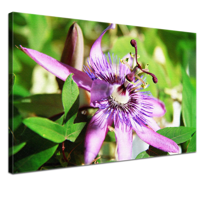 Print on Canvas, 100cm H x 150cm W x 2cm D