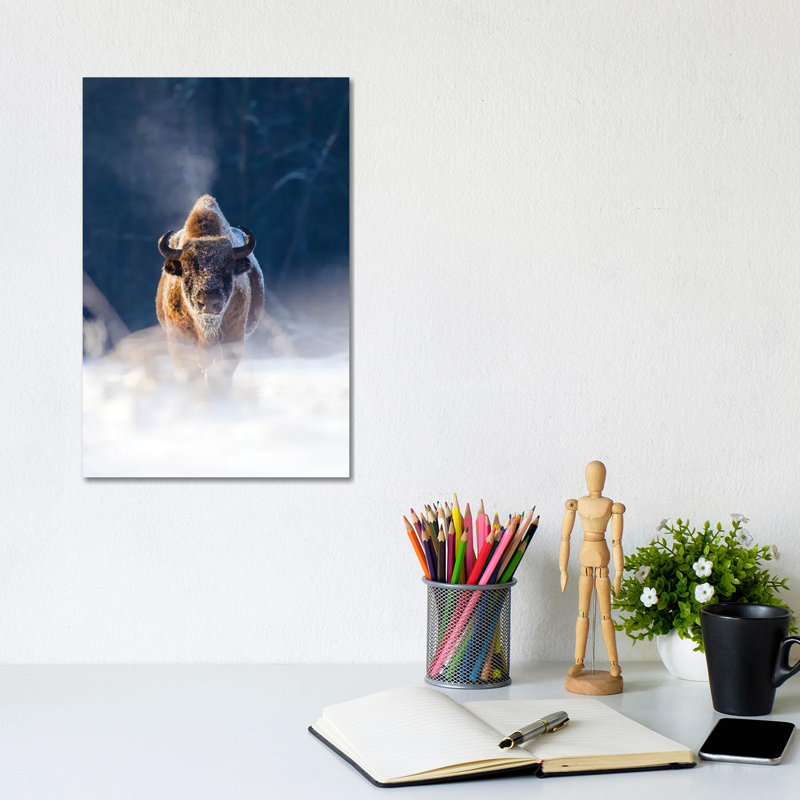 Frozen King by Mateusz Piesiak - Wrapped Canvas Print, 20.32 cm H x 30.48 cm W
