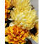 Arrangement de fleurs mixtes-17956176