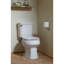 Toilette allongée brute 12 po Windham ™-14985406