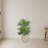Paradise Palm Artificial Tree in Sand Colored Planter