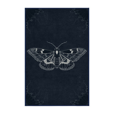 Soft Plush Everitt Halloween Modern & Contemporary Abstract Area Rug in Gray – Navy Binding