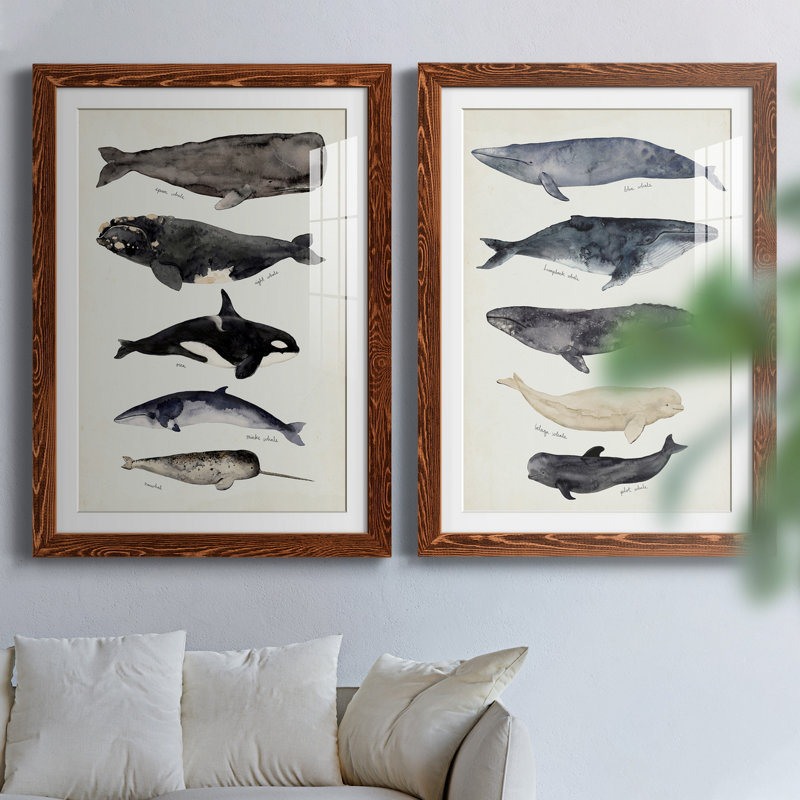 Baleine graphique I - ensemble de 2 cadres photo, H 43,5 po x l 31,5 po, Impression encadrée, Érable