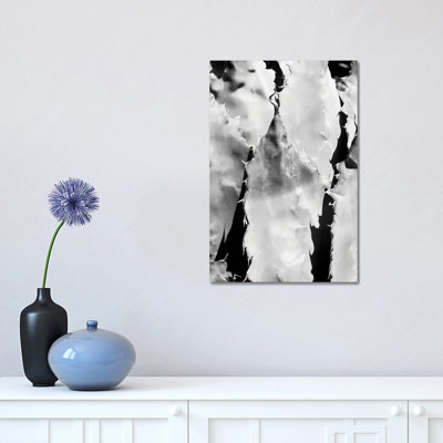 Agave Close Up 1 Piece Wrapped Canvas Wall Art