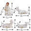 Christmas Religious & Spiritual Nativity Set-1984381270