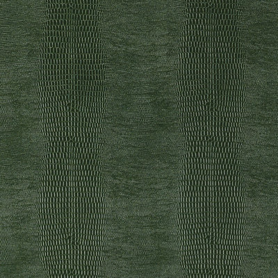 Komodo Wallpaper