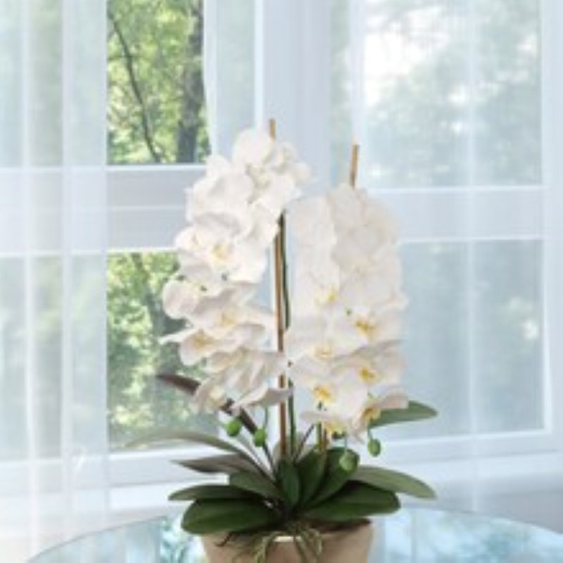 Silk Arrangement