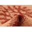 Raadhiya One-of-a-Kind 4'1" X 6'3" New Age Wool Area Rug in Salmon