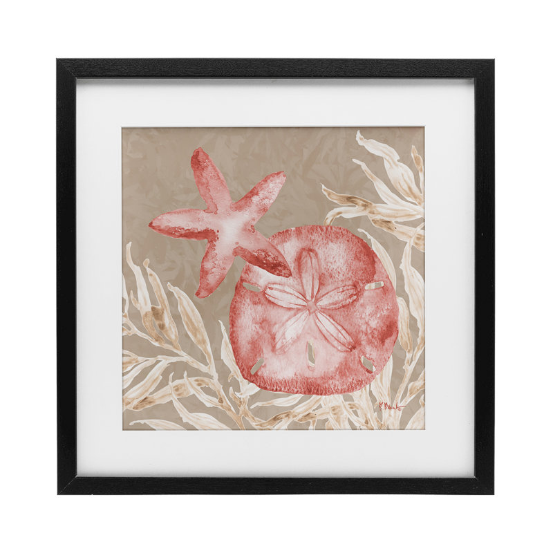 «Tampico Starfish and Sand Dollar», reproduction sous verre encadrée, design par Paul Brent, H 13 po x l 13 po