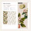 Papier peint floral à motif floral d'agrumes