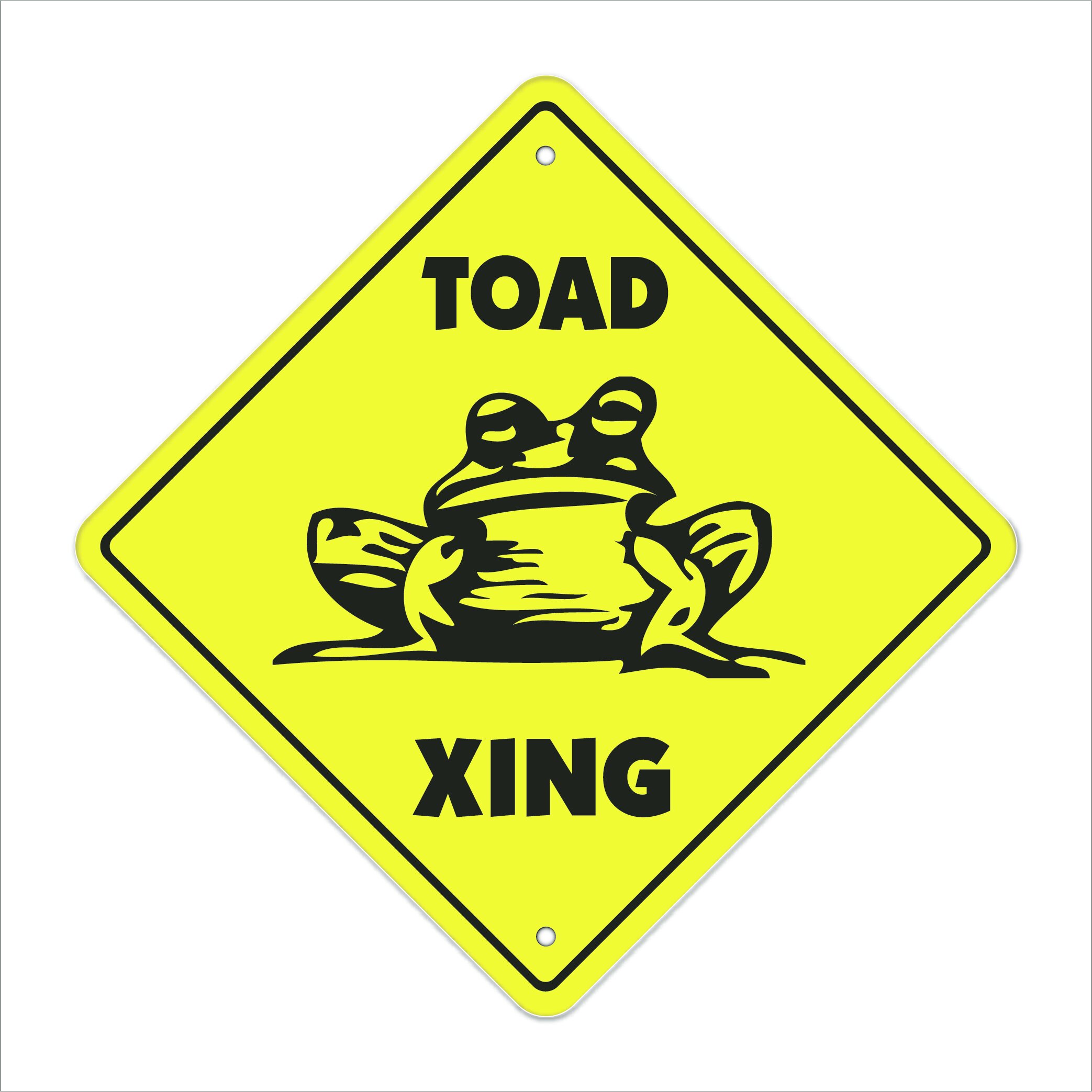 funny toad pictures