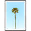 Lonely Palm Print by Carly Tabak-73335841-73335838
