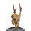 Deer Skull with Bel Glass Sculpture-1488515017