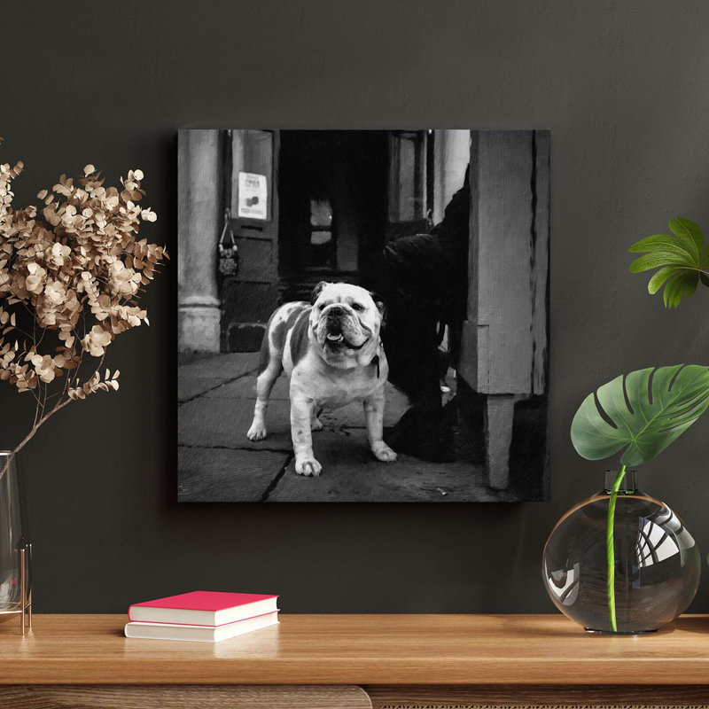 «Grayscale Photo Of English Bulldog», reproduction d'art graphique sur toile tendue, H 12 po x l 12 po