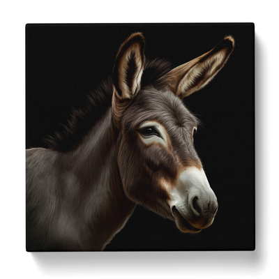 Donkey Realism No.1 - Wrapped Canvas