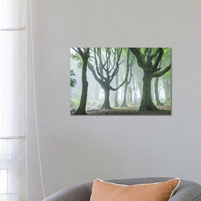 The Entmoot 1 Piece Wrapped Canvas Wall Art