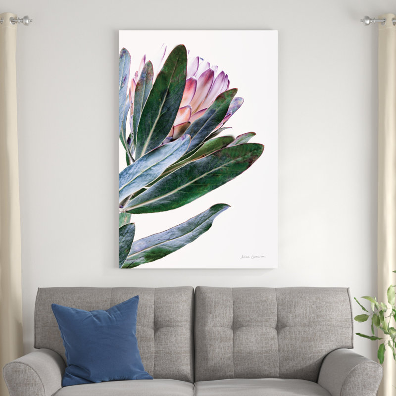 Protea In Leaf - Wrapped Canvas Print, 32" H x 48" W x 1.25" D