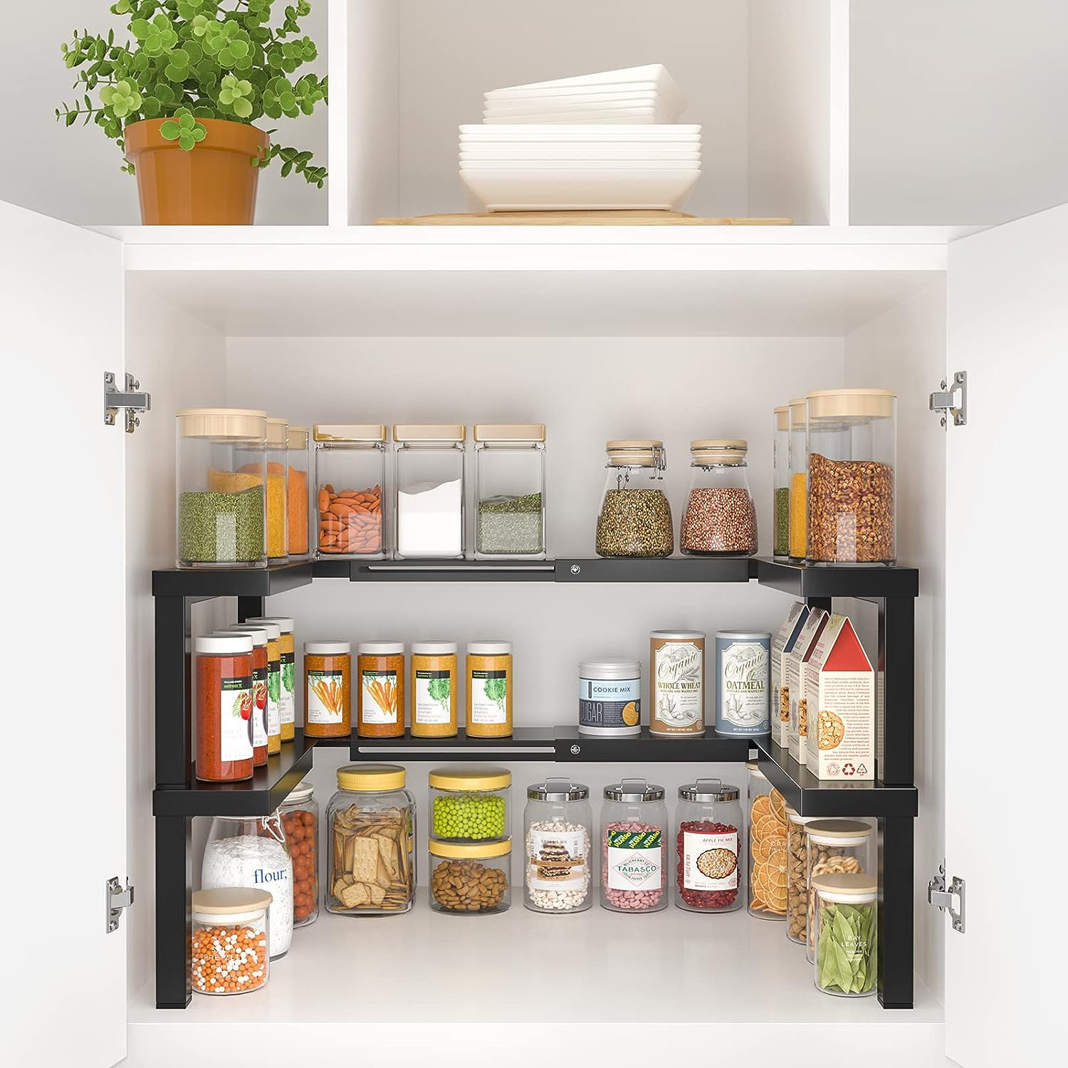 https://assets.wfcdn.com/im/08125071/compr-r85/2601/260152762/damarri-stainless-steel-spice-rack.jpg