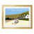 Oak Wood Frame is unavailable